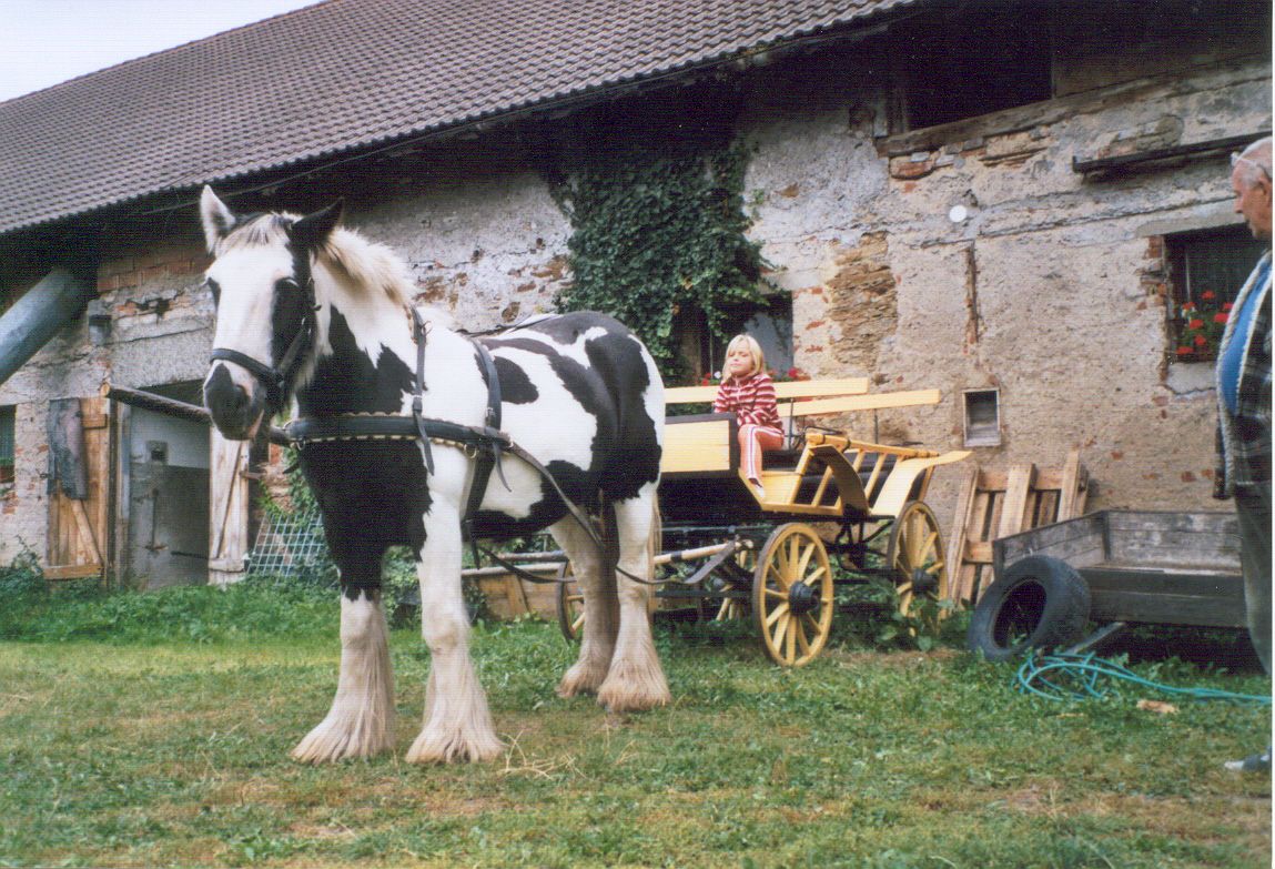 Zapřaháme...jpg